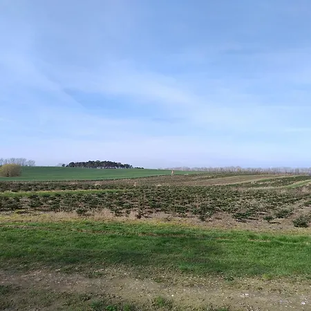 Ostseegolf - דירה Hohen Wieschendorf