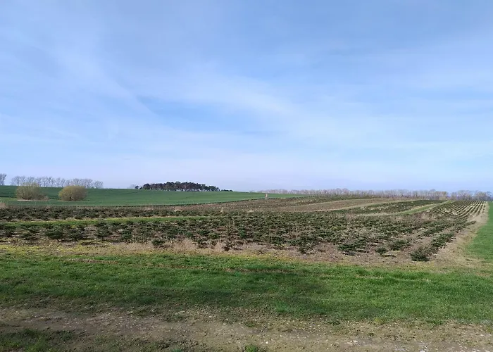 Ostseegolf - 公寓 Hohen Wieschendorf