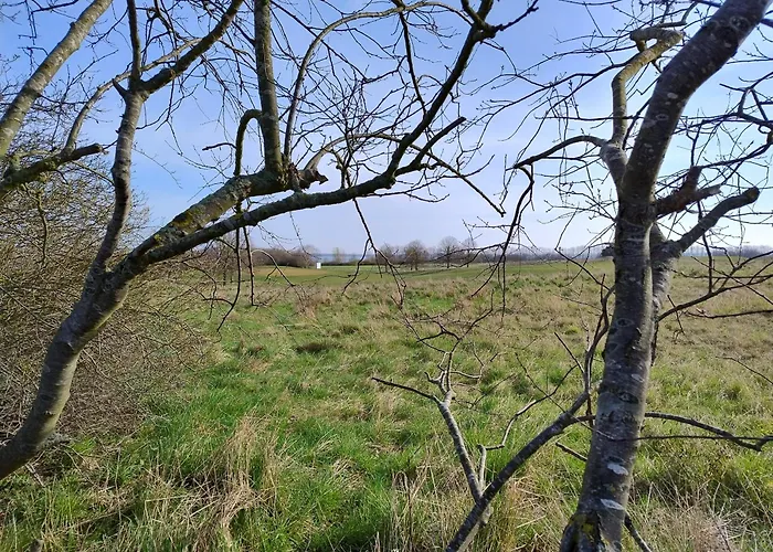 Ostseegolf - 公寓 *